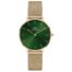 orologio-petite-emerald-daniel-wellington-gioielleria-senatore